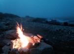 IMG_7303.jpg