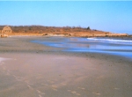 Untitled-2.jpg